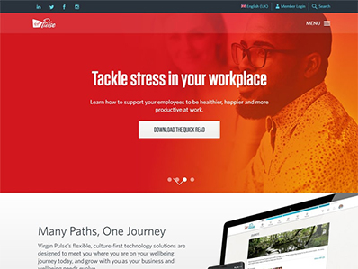 Custom Website Design Portfolio 1